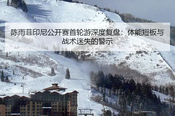 陈雨菲印尼公开赛首轮游深度复盘：体能短板与战术迷失的警示